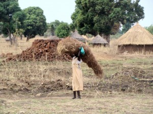 WomanCarryingThatch-KajoKeji08